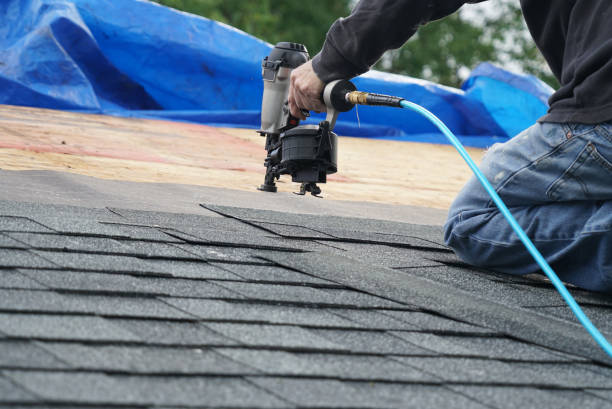 Best Roof Moss and Algae Removal  in Freeman, SD