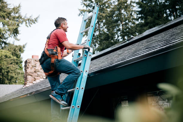 Best Sheet Metal Roofing  in Freeman, SD
