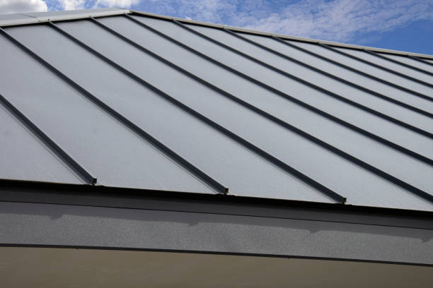 Best Roof Ventilation Installation  in Freeman, SD