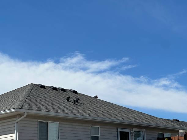 Best Rubber Roofing (EPDM, TPO)  in Freeman, SD