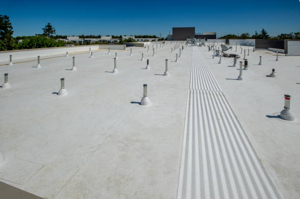 Best Hot Roofs  in Freeman, SD